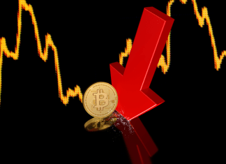 Bitcoin crash: Picture Source; @Canva